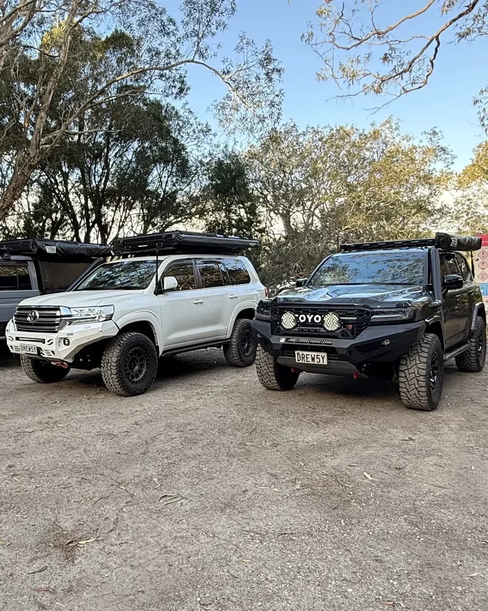 The 200 Series and a 300 Series parked in a track-side clearing among the paperbarks on Straddie.