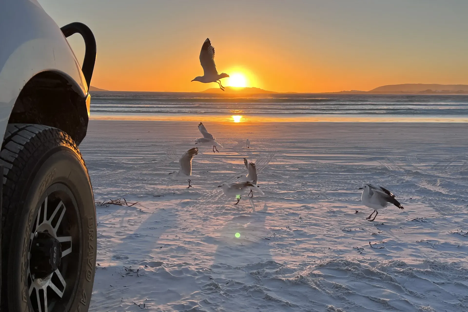 Sunset on the beach beside the front wheel, gulls on the sand.